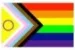The queer pride flag has rainbow stripes and includes stripe colors representing POC, transgender, and intersex communities.